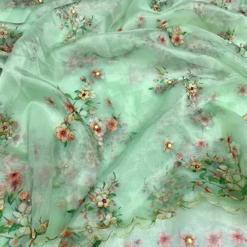 Organza Silk Digital Printed Saree Handworked Saree With Banglori Silk Blouse